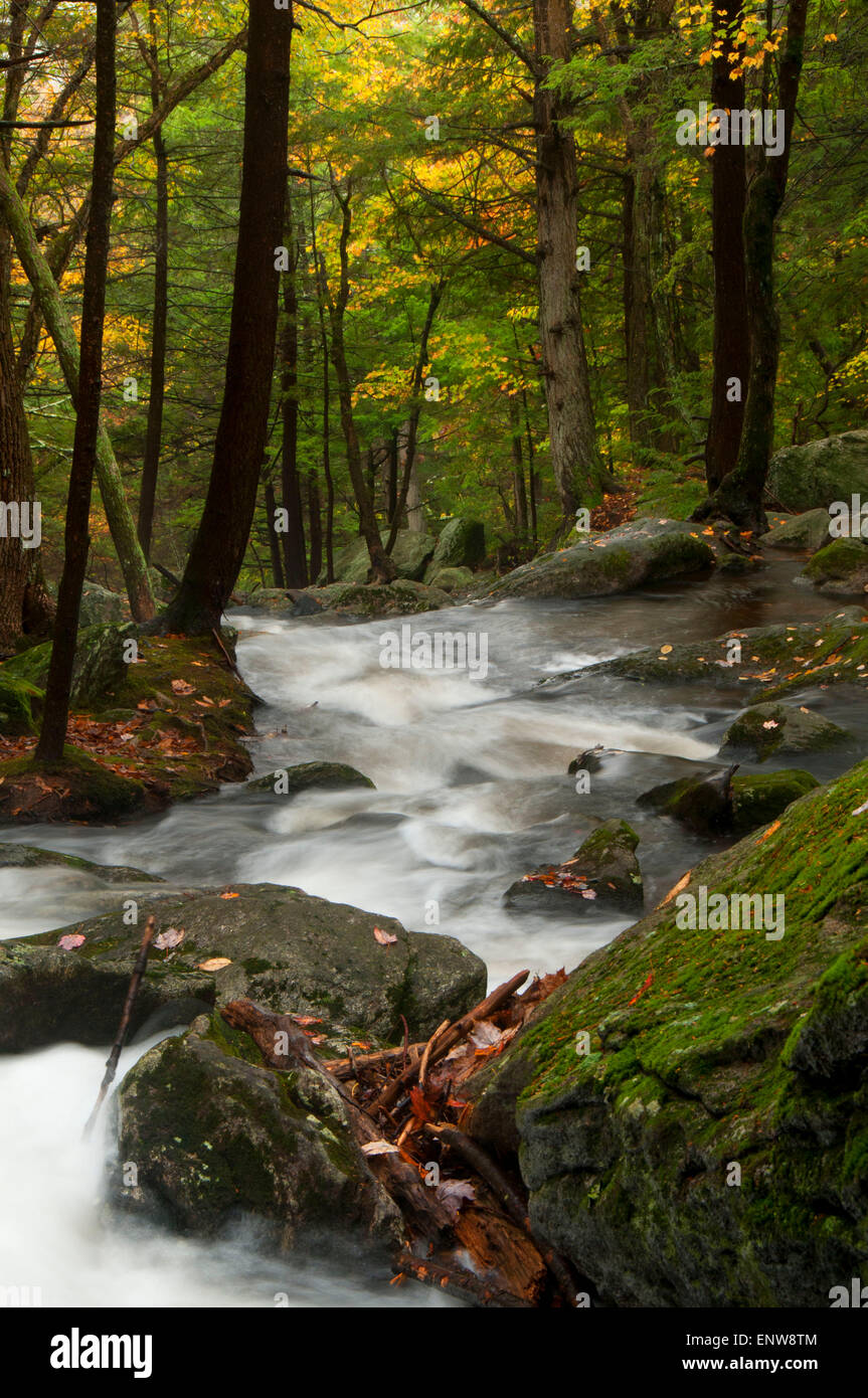 Brook at Buttermilk Falls, Buttermilk Falls Preserve, Connecticut Stock