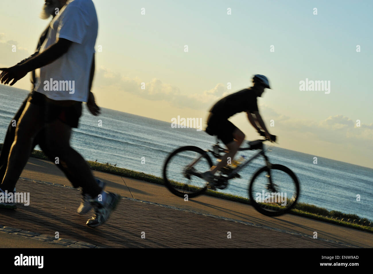 cycle for morning exercise
