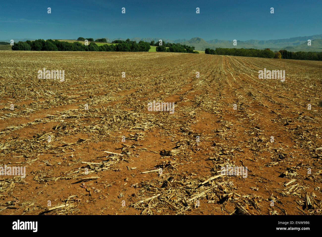 Soil erosion south africa hi-res stock photography and images - Alamy