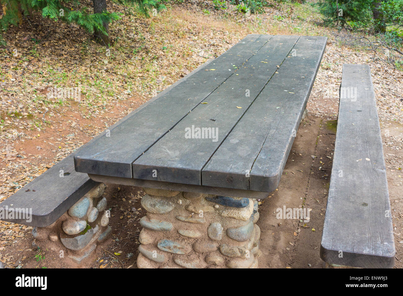 Wooden planks of picnic table in forest of state park. Stock Photo