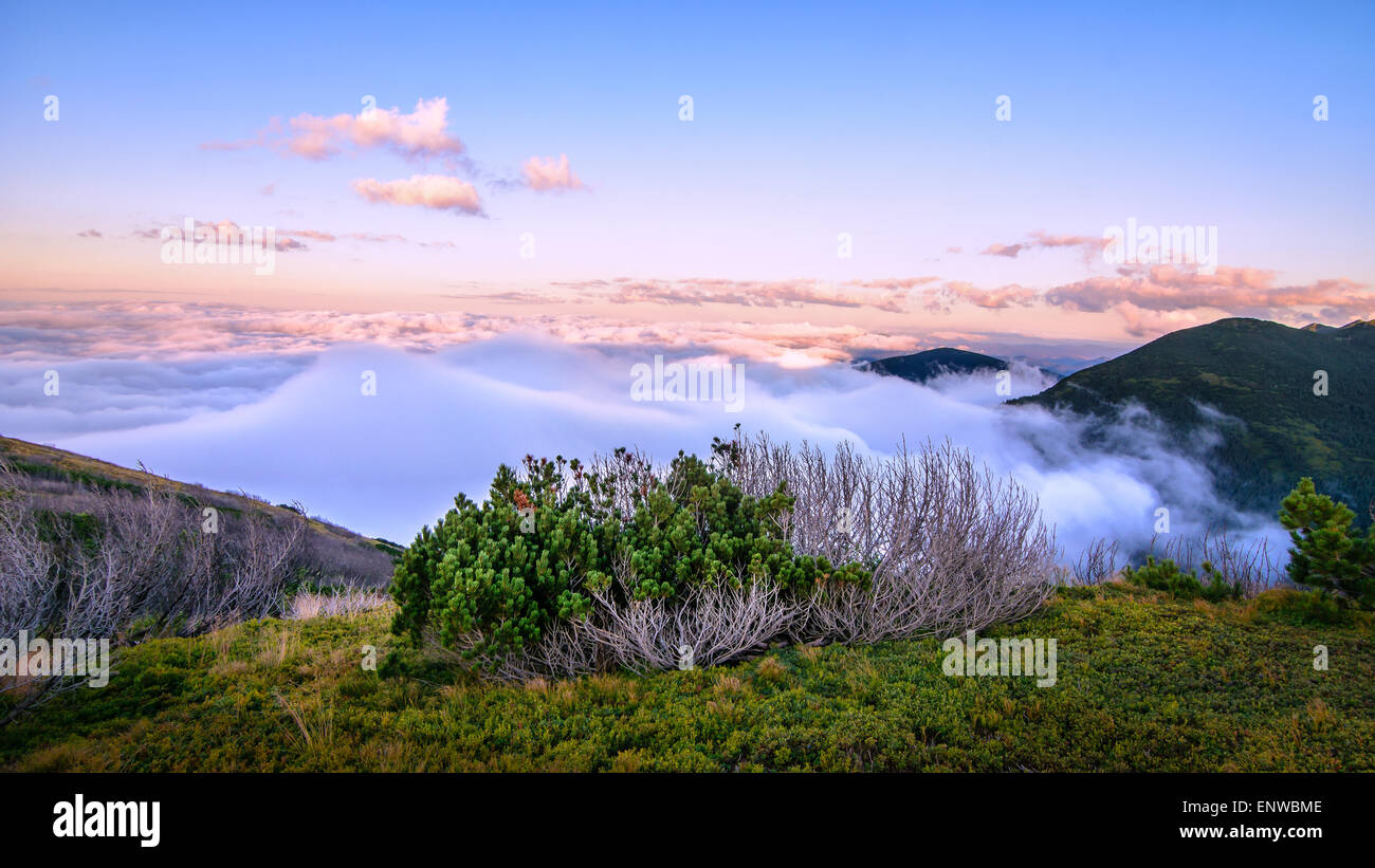 Background panorama hi-res stock photography and images - Alamy