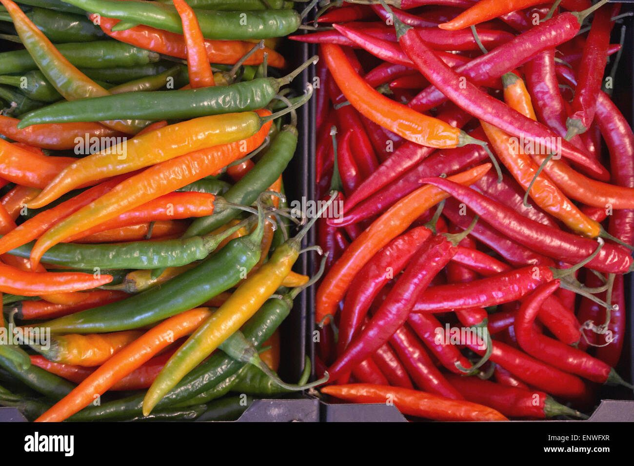 chilli peppers Stock Photo