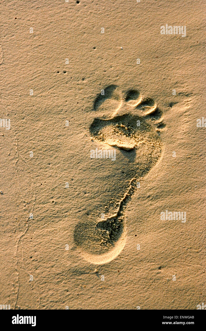 human foot trace Stock Photo Alamy