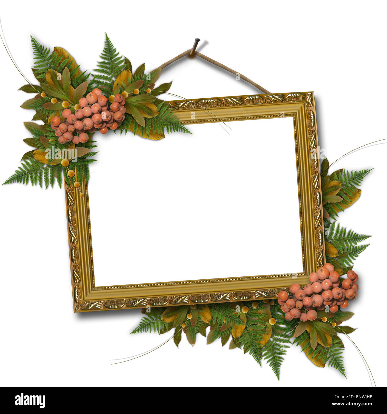 Picture gold frame with a mountain ash and bunch Stock Photo