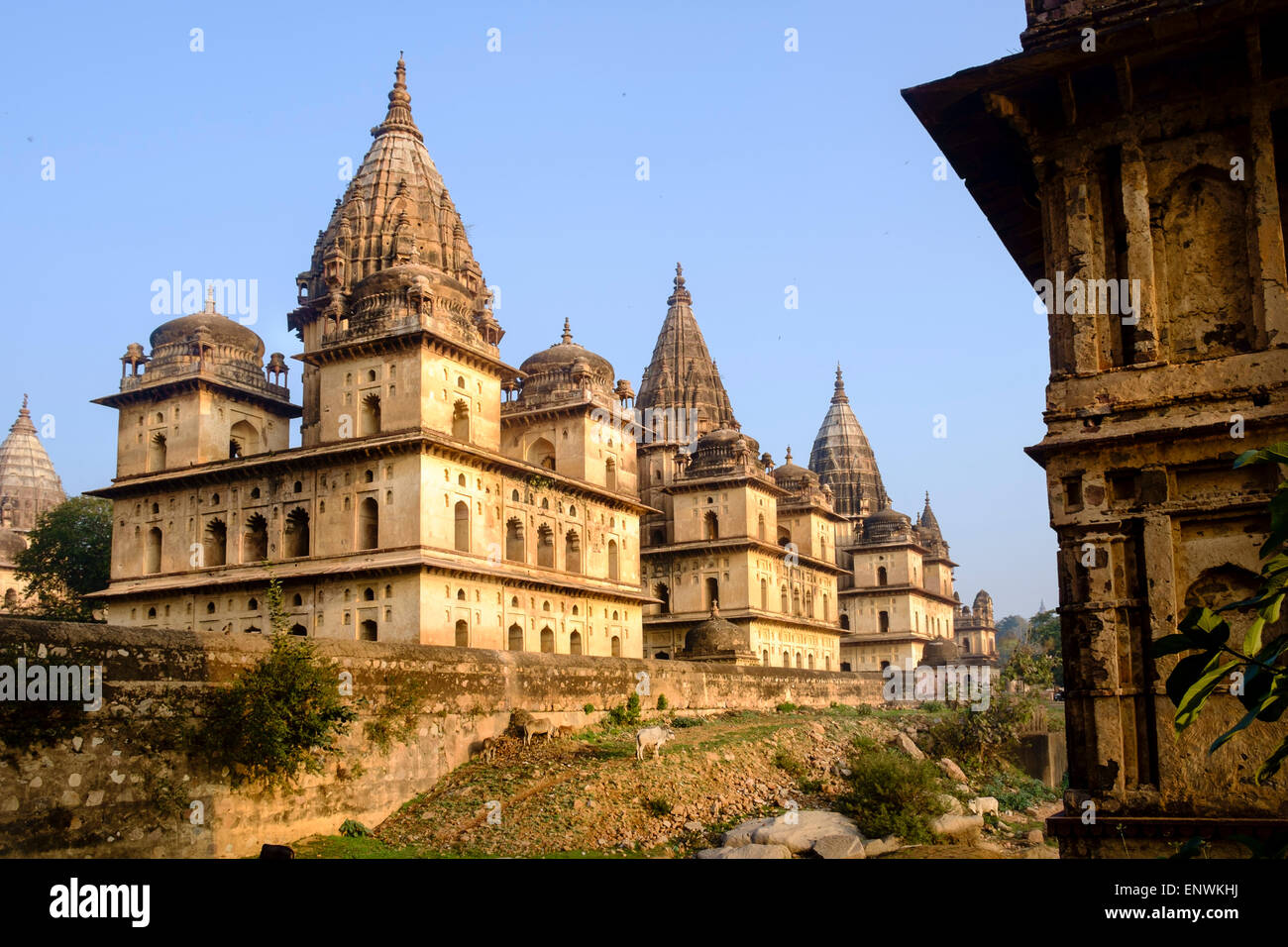 Orchha in Madhya Pradesh state was founded in 16th century and its ...