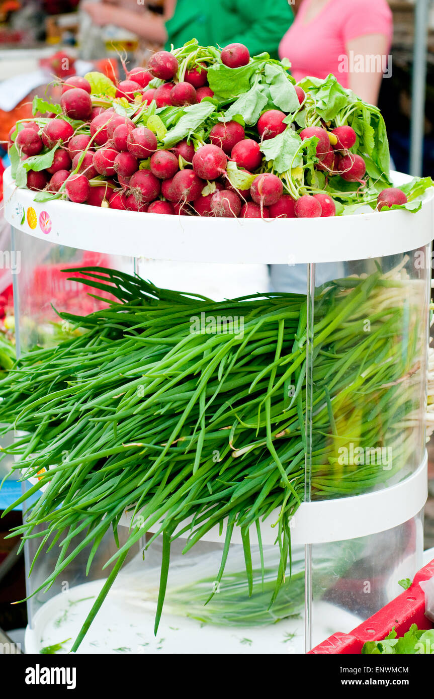 Shot of onion and radish in outside Stock Photo