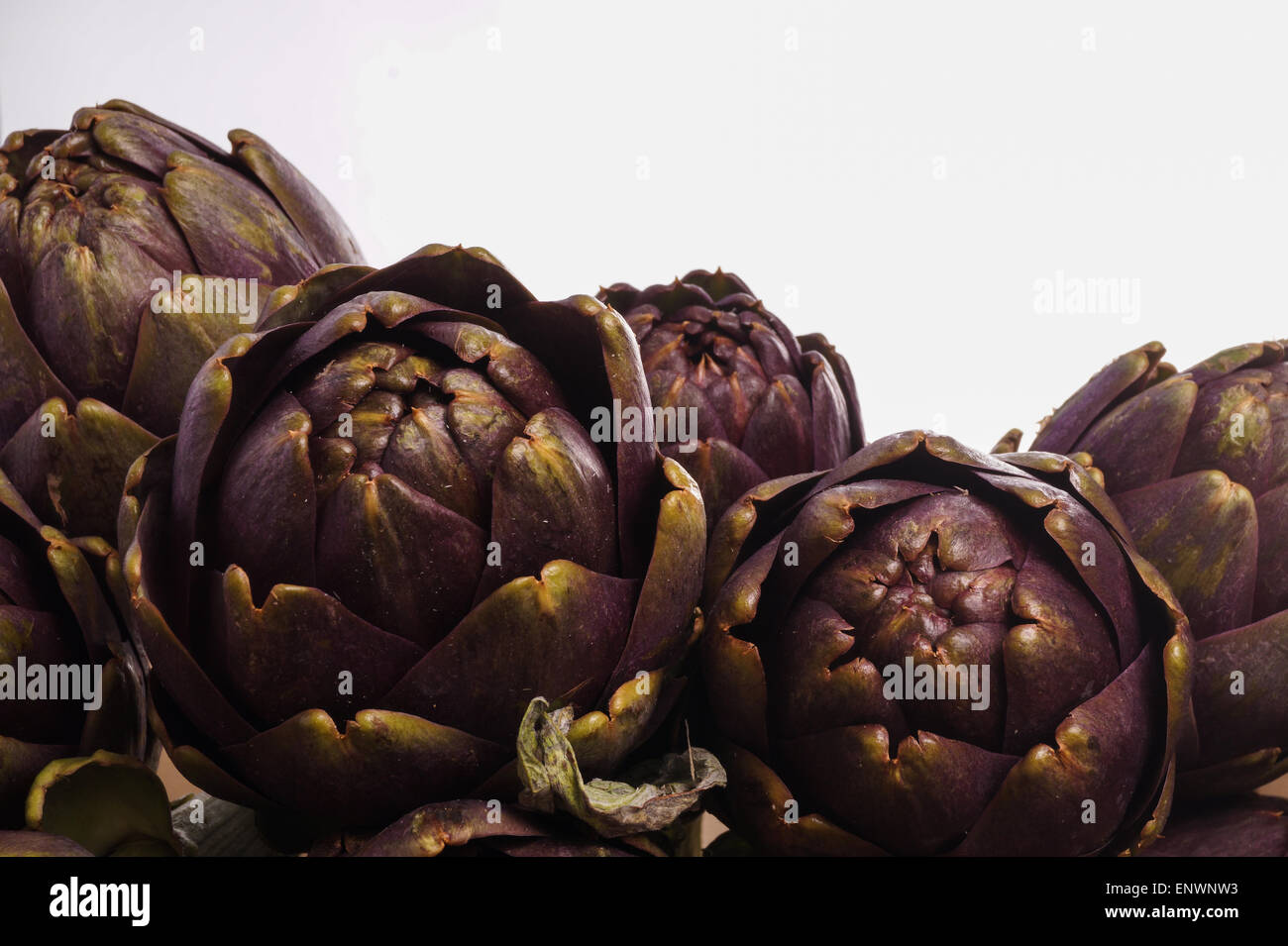 Pile of Purple artichokes ready for cooking Stock Photo Alamy