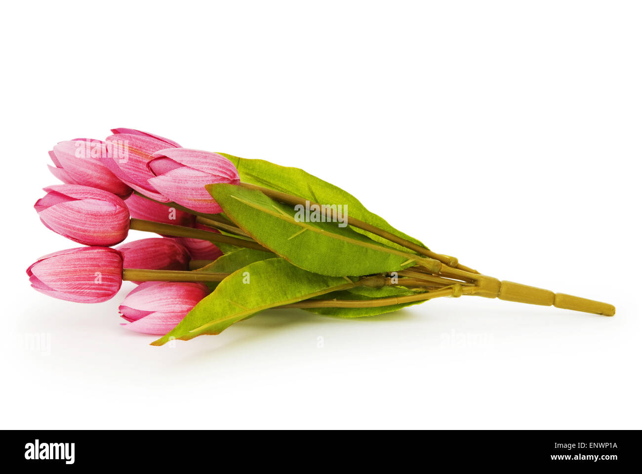 Colourful tulips isolated on the white background Stock Photo - Alamy