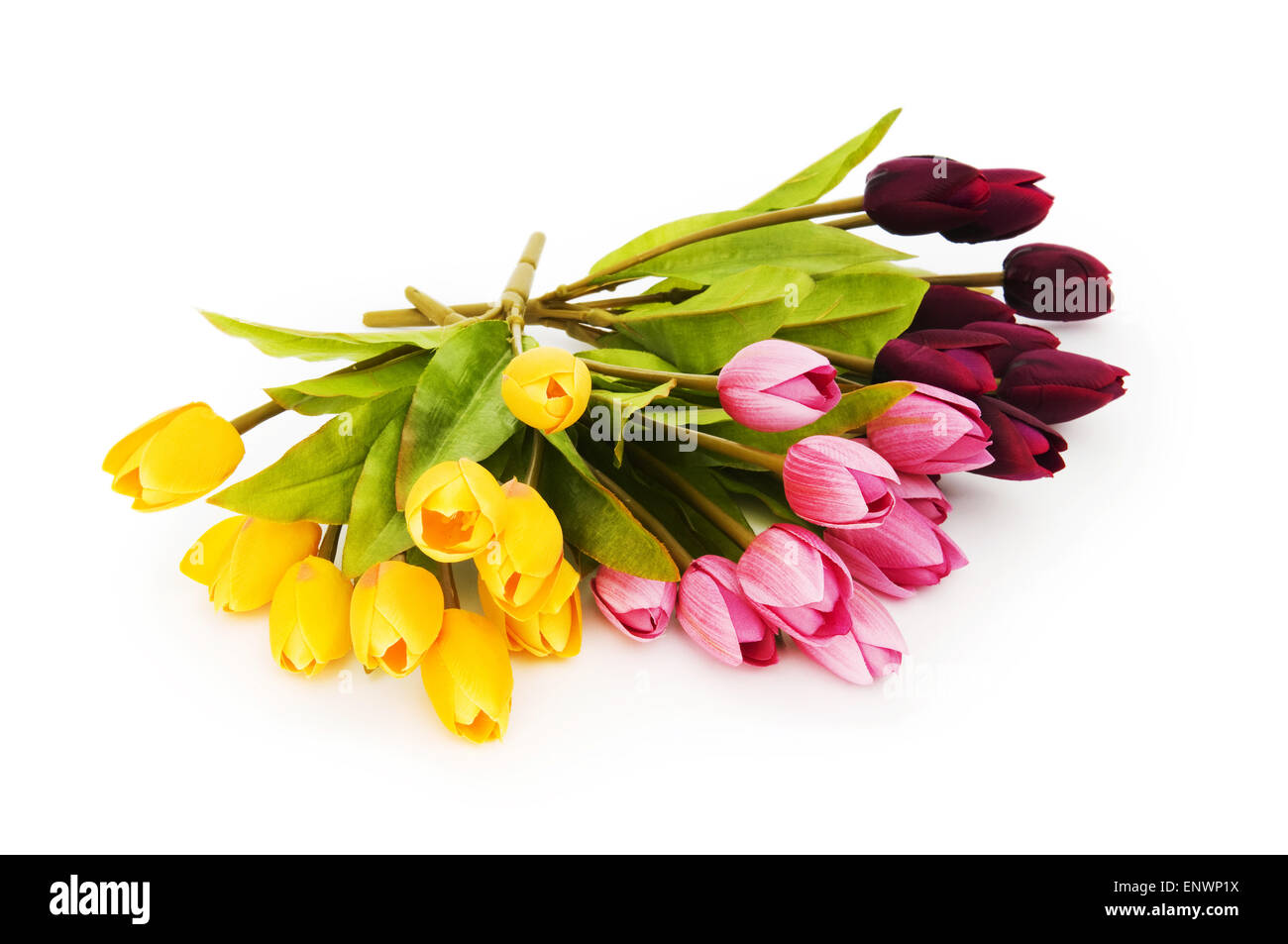 Colourful tulips isolated on the white background Stock Photo - Alamy