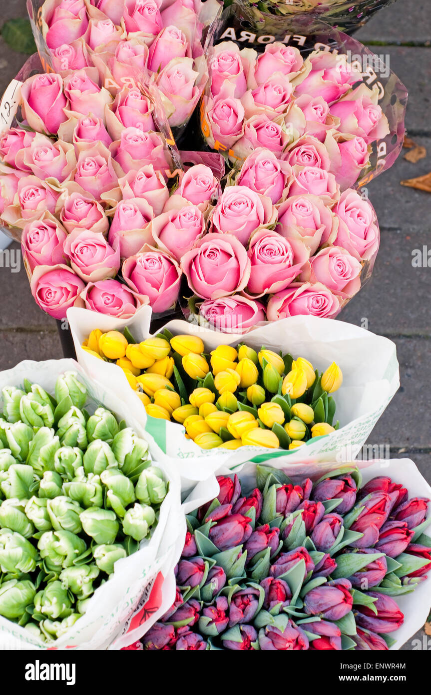 Shot of roses and tulips in outside Stock Photo