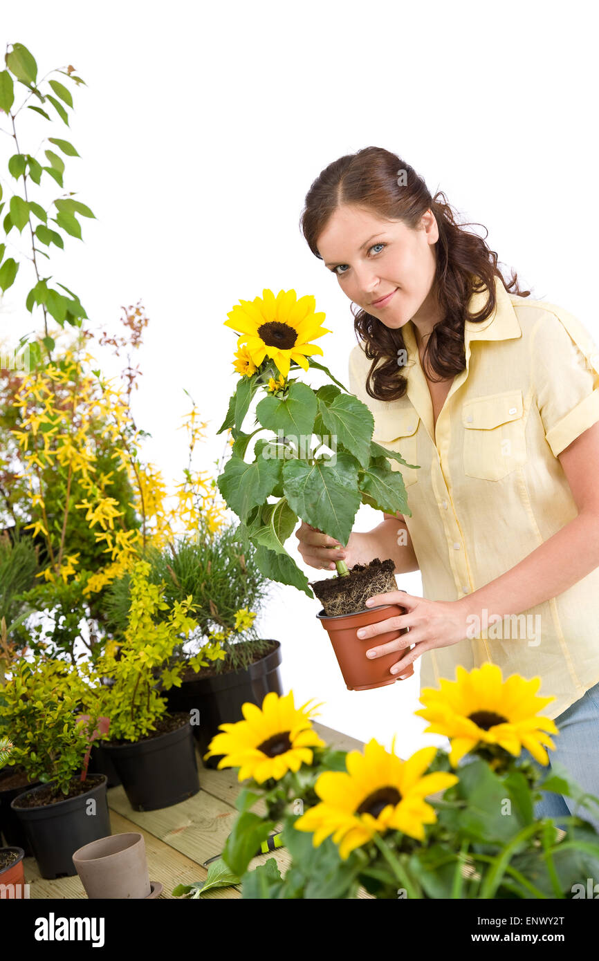 Gardening - woman holding flower pot with sunflower Stock Photo - Alamy