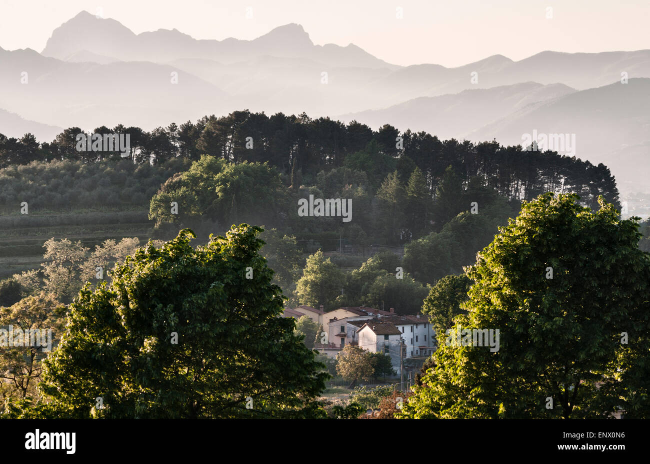 massa-macinaia-hi-res-stock-photography-and-images-alamy