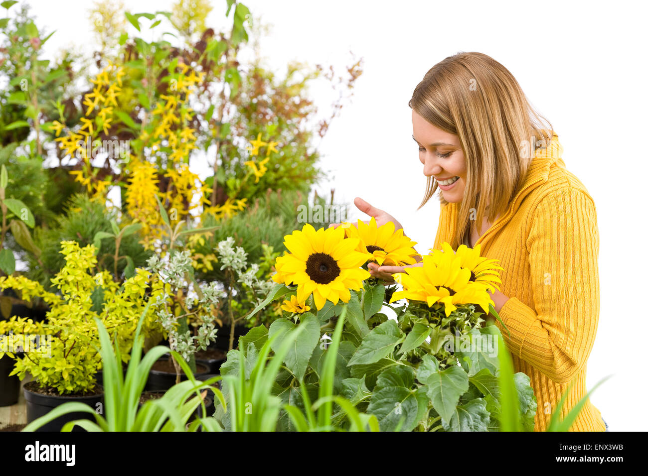Gardening - portrait of woman with sunflowers Stock Photo