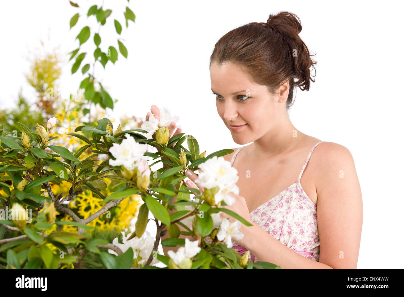 Gardening - Woman with Rhododendron flower blossom Stock Photo