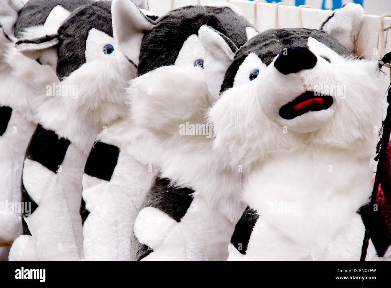 Stuffed Dog Toys Stock Photo Alamy