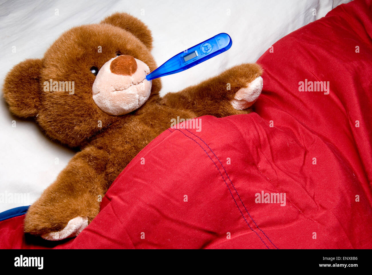 Sick Teddy Bear Stock Photo