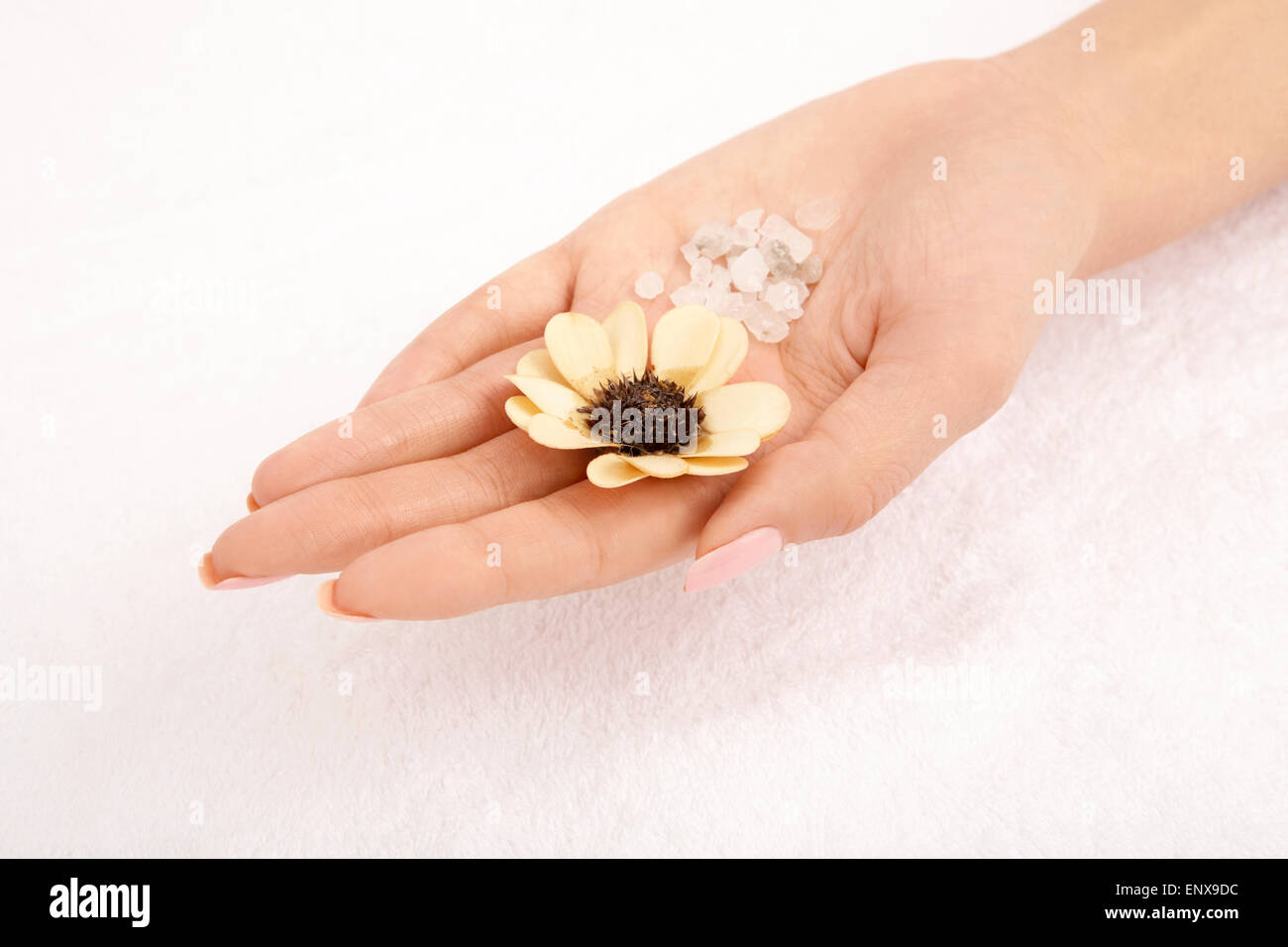 In a handful of a lonely hand a flower and the sea salt Stock Photo
