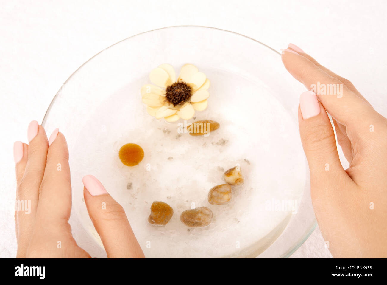 The top view - hands hold a bath with a flower and salt Stock Photo