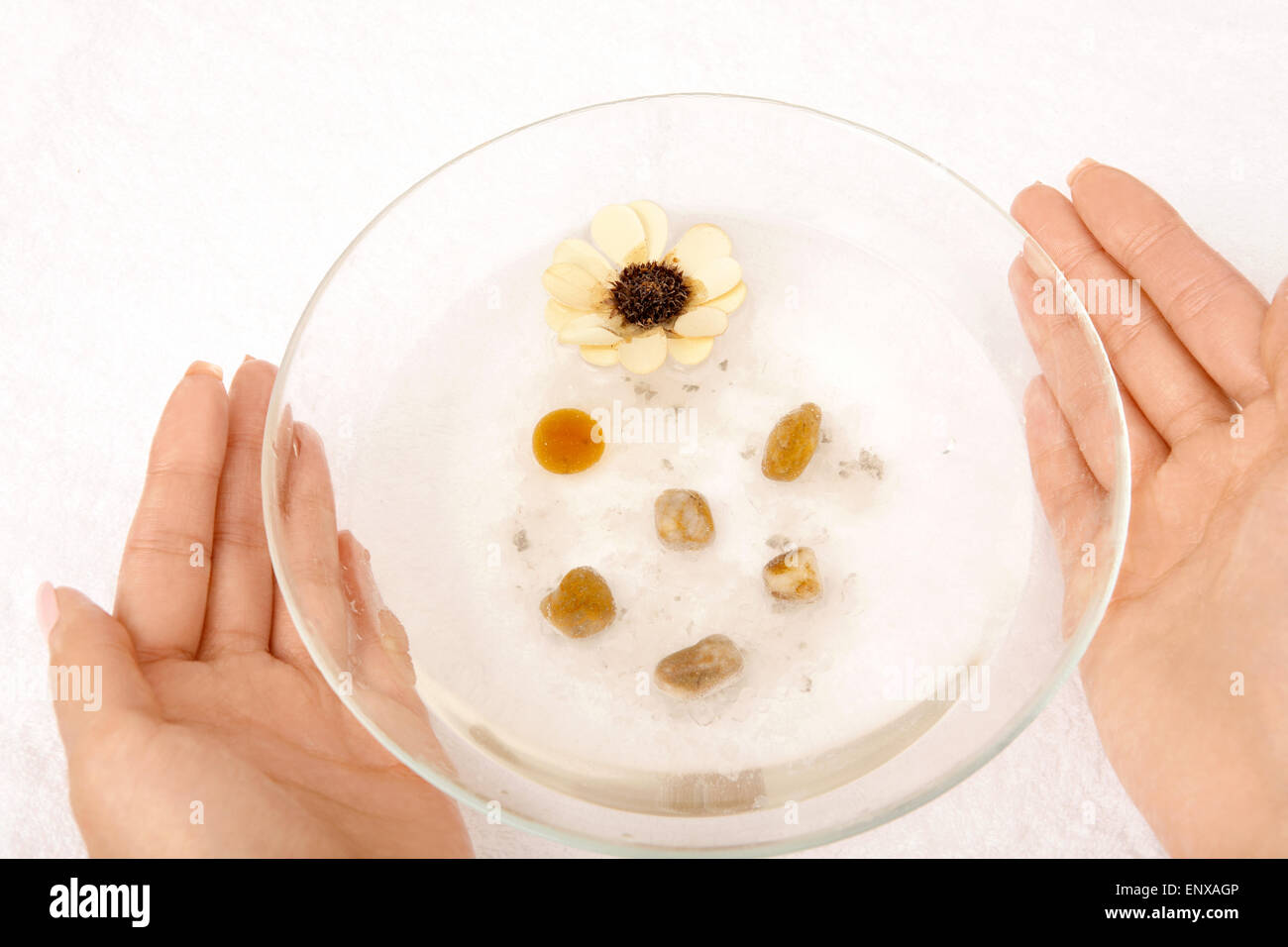 Female hands hold a cup with the salt cosmetic solution Stock Photo