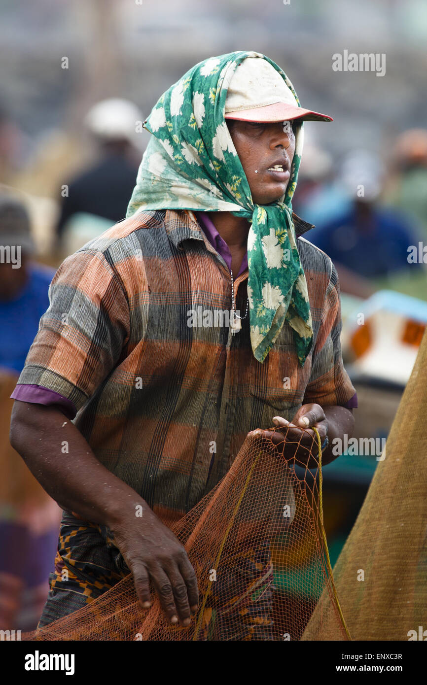 Ceylon landschaft hires stock photography and images Alamy