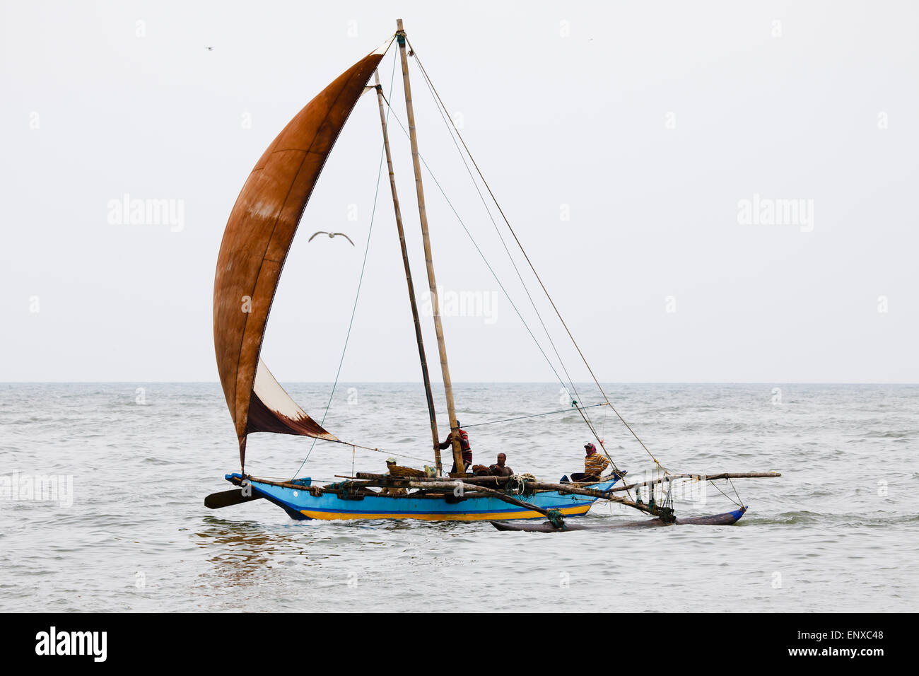 Sailboat - Negombo, Sri Lanka Stock Photo