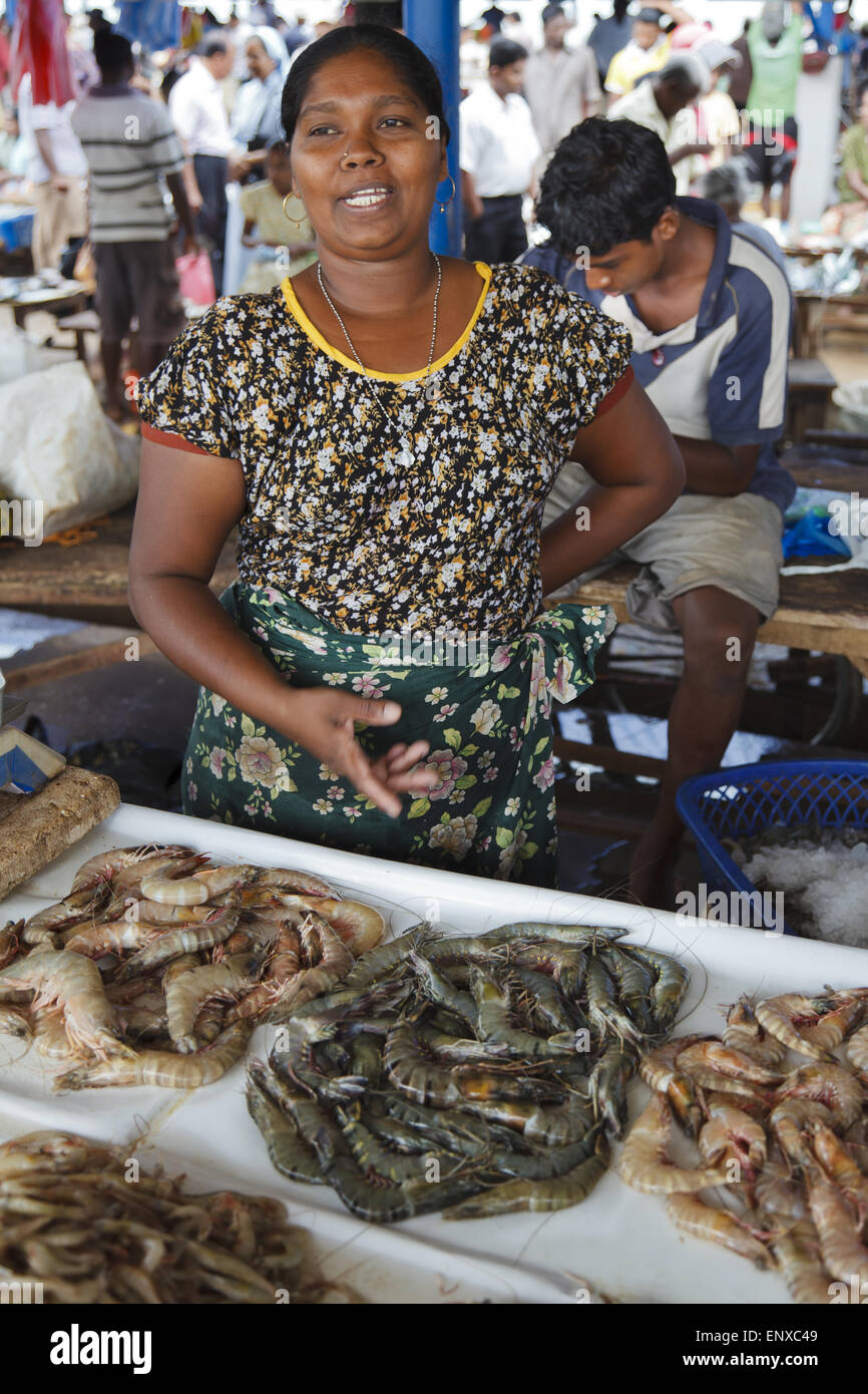 Fish market Negombo, Sri Lanka Stock Photo Alamy