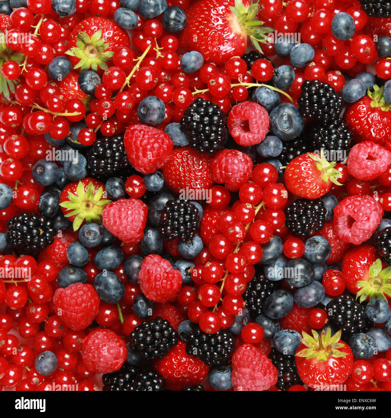 Beerenmischung hi-res stock photography and images - Alamy
