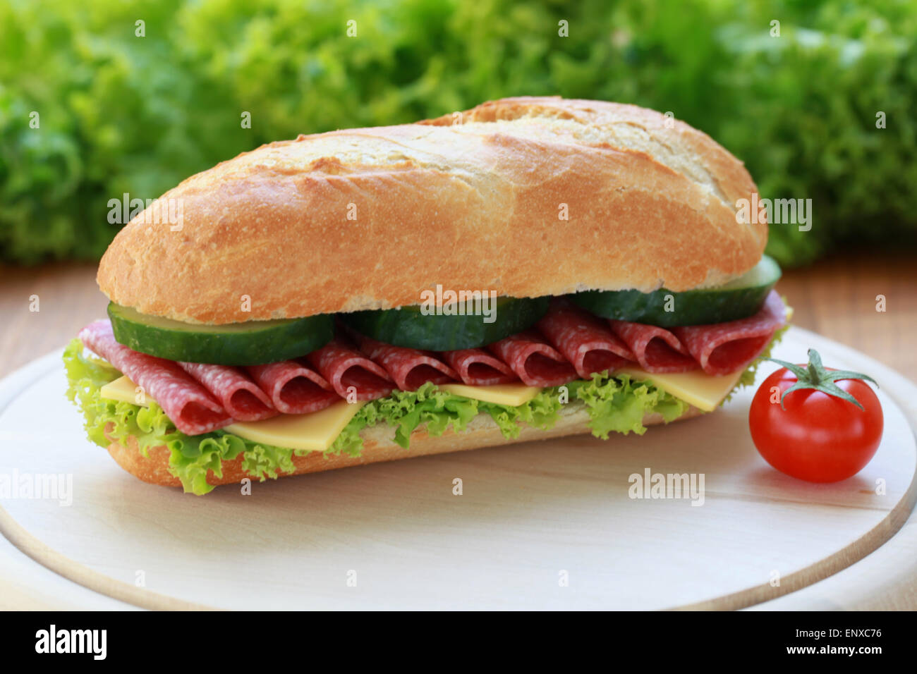 SalamiBaguette Stock Photo Alamy