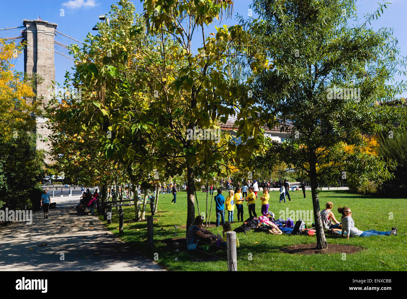 USA, New York State, New York City, NYC, Brooklyn Bridge Park, people on the grass of Harbor View Lawns at Pier 1 below the suspension bridge in autumn. Stock Photo