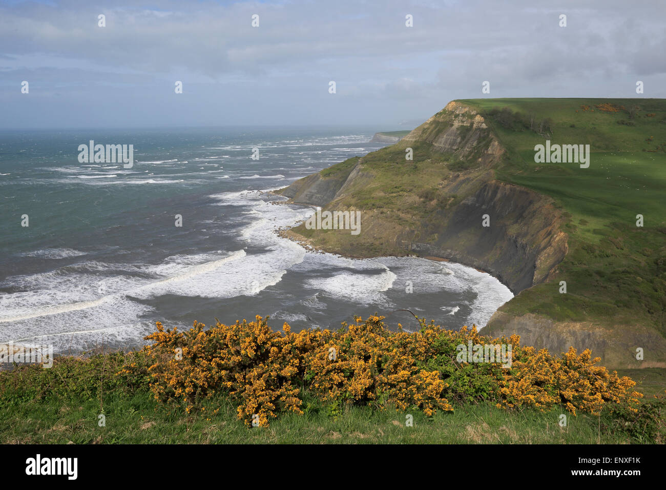 Chapman's Pool on the Dorset Coast in the spring Stock Photo