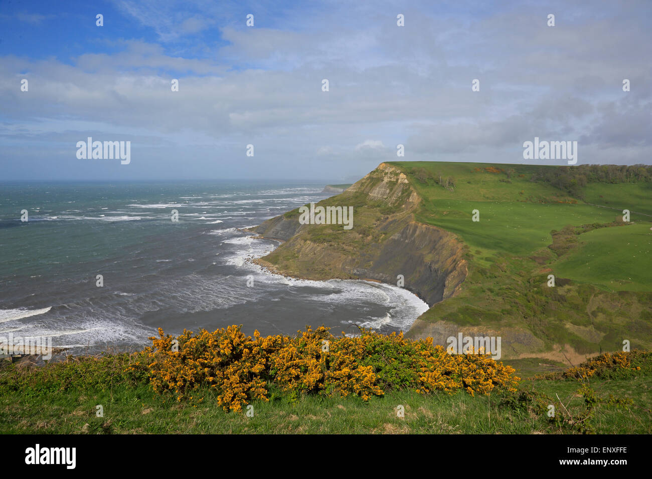 Chapman's Pool on the Dorset Coast in the spring Stock Photo