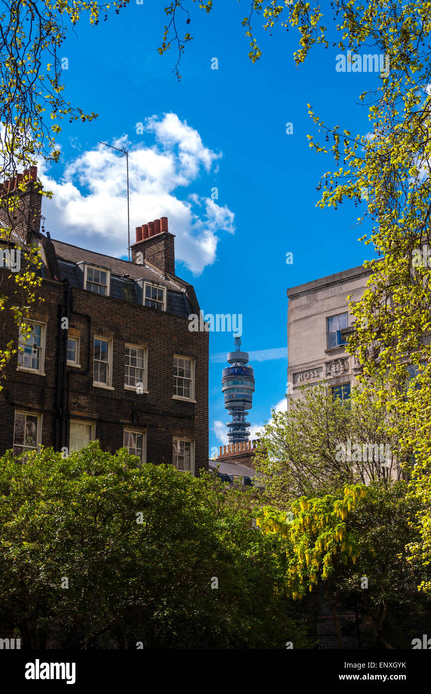 Malet Street Garden University of London UK with view of BT Tower Stock Photo