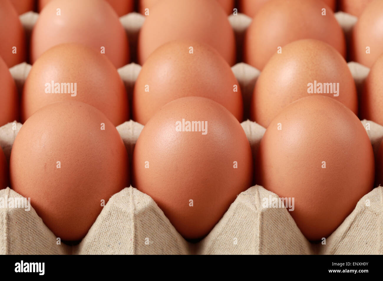 Eier in einer Schachtel Stock Photo