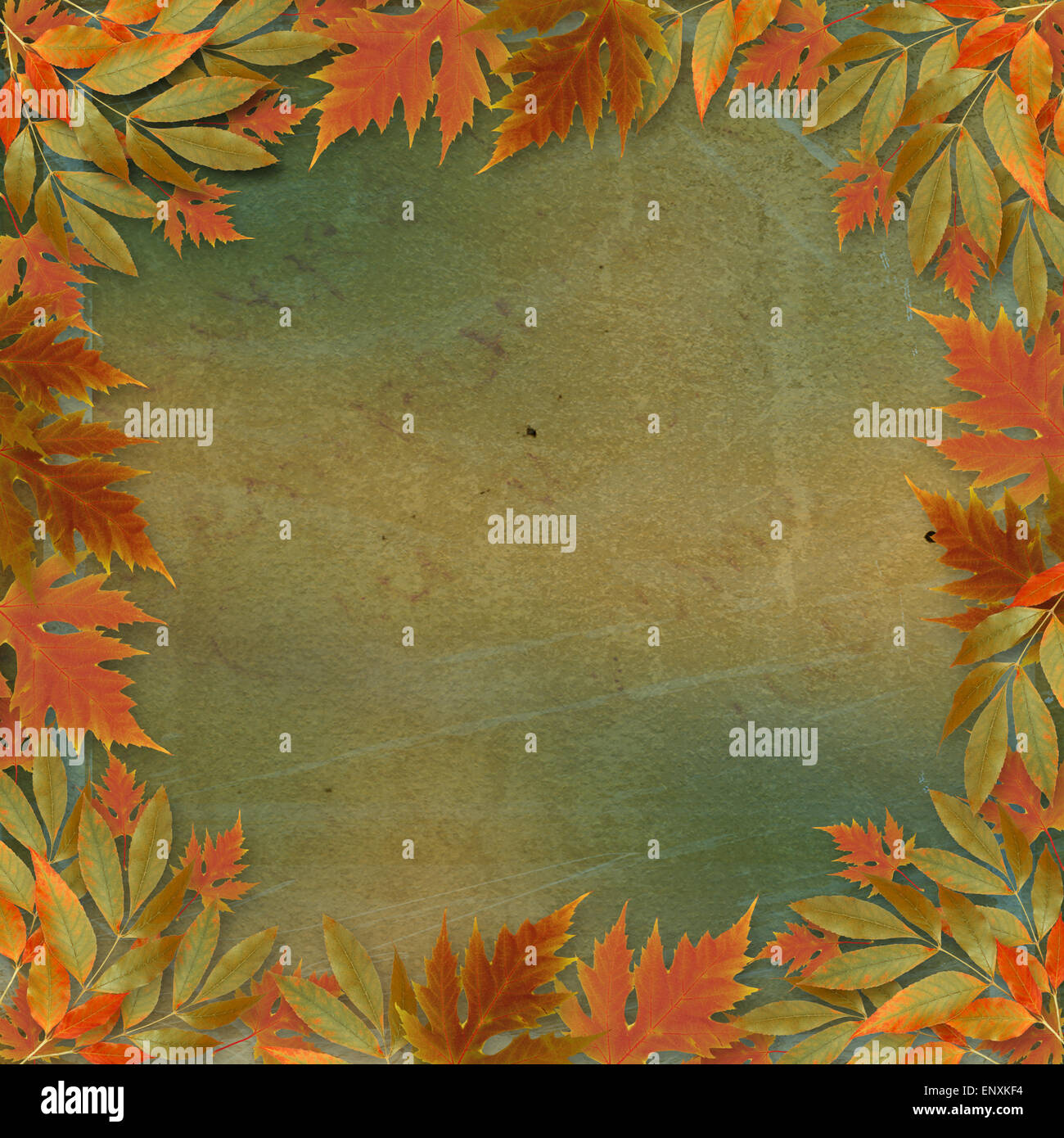 Bright autumn leaves on the abstract with paper frame Stock Photo - Alamy