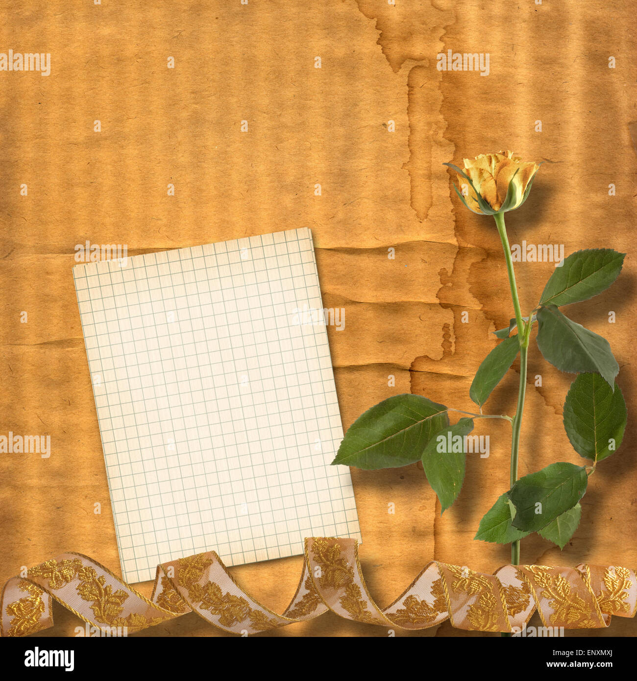 Grunge paper for congratulation with beautiful roses Stock Photo