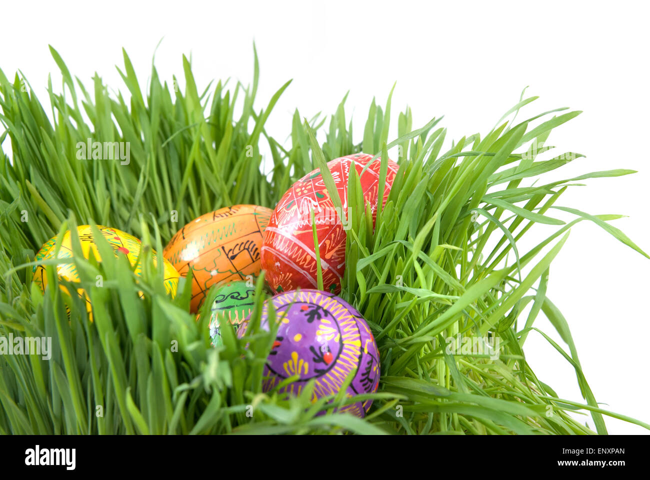 color easter eggs in nest from green grass on white Stock Photo - Alamy