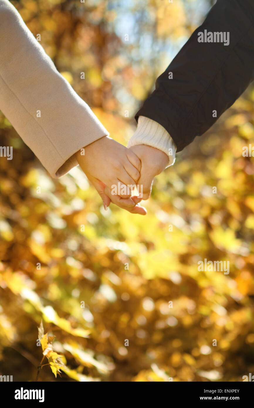 Young couple holding hands in the autumn forest Stock Photo - Alamy