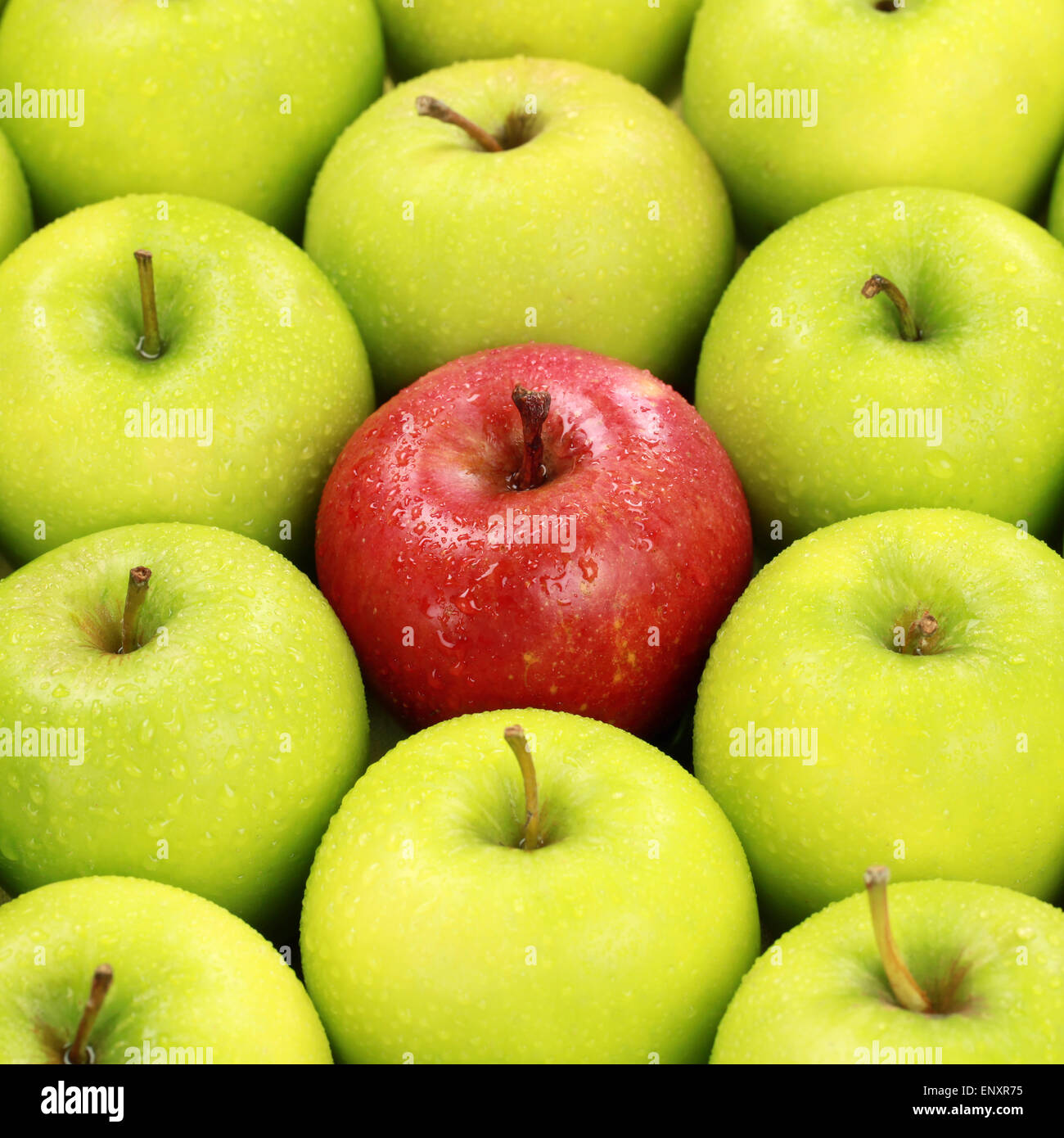 Einsamer roter Apfel Stock Photo