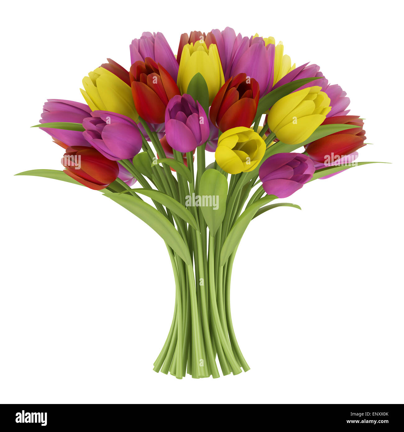 bouquet of tulips isolated on white background Stock Photo - Alamy