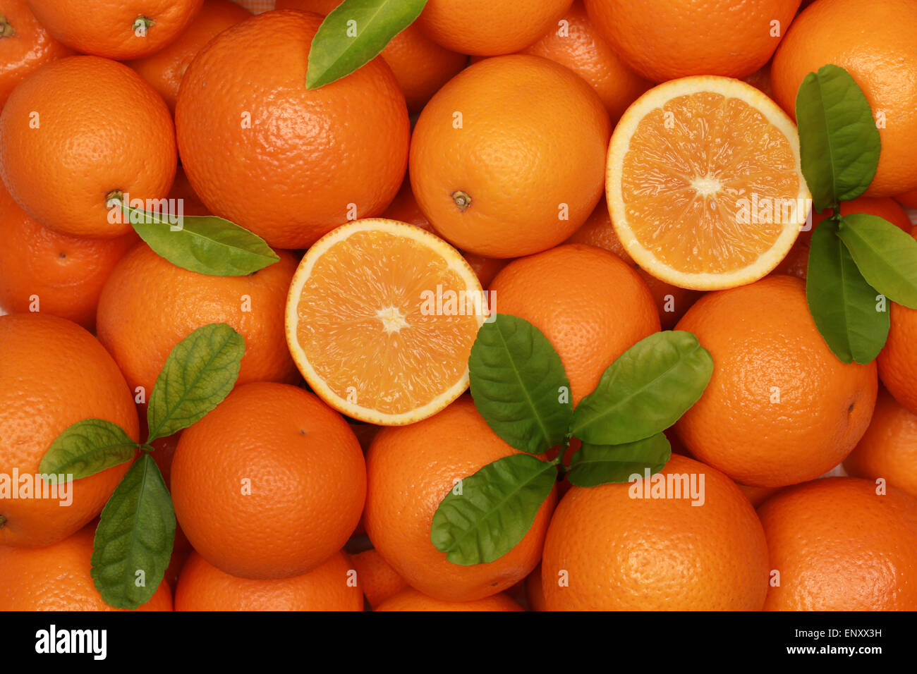 Fruit collection orange