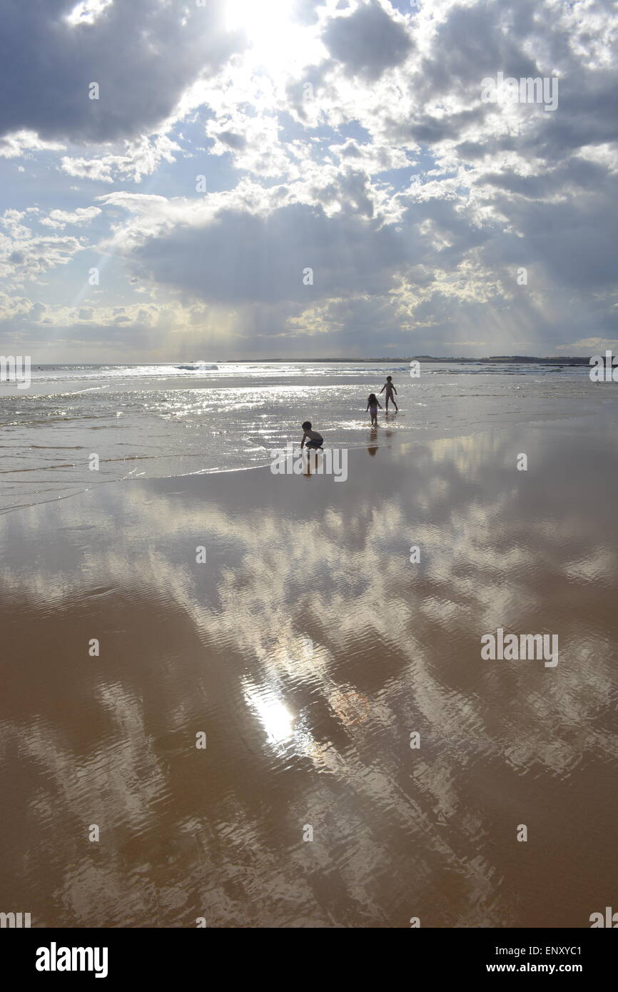 Between Heaven & Earth, Kids At Beach, Golden Beach, Blue Skies, Sun Reflecting, Waves, Stock Photo