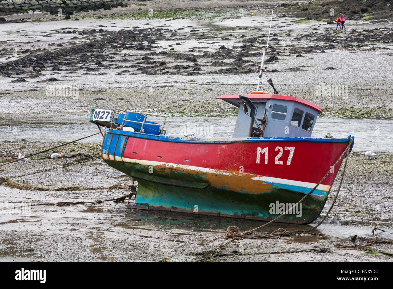 M27 fishing boat at low tide in harbour at Lower Fishguard or Abergwaun at Pembrokeshire Coast National Park, Wales UK in May Stock Photo
