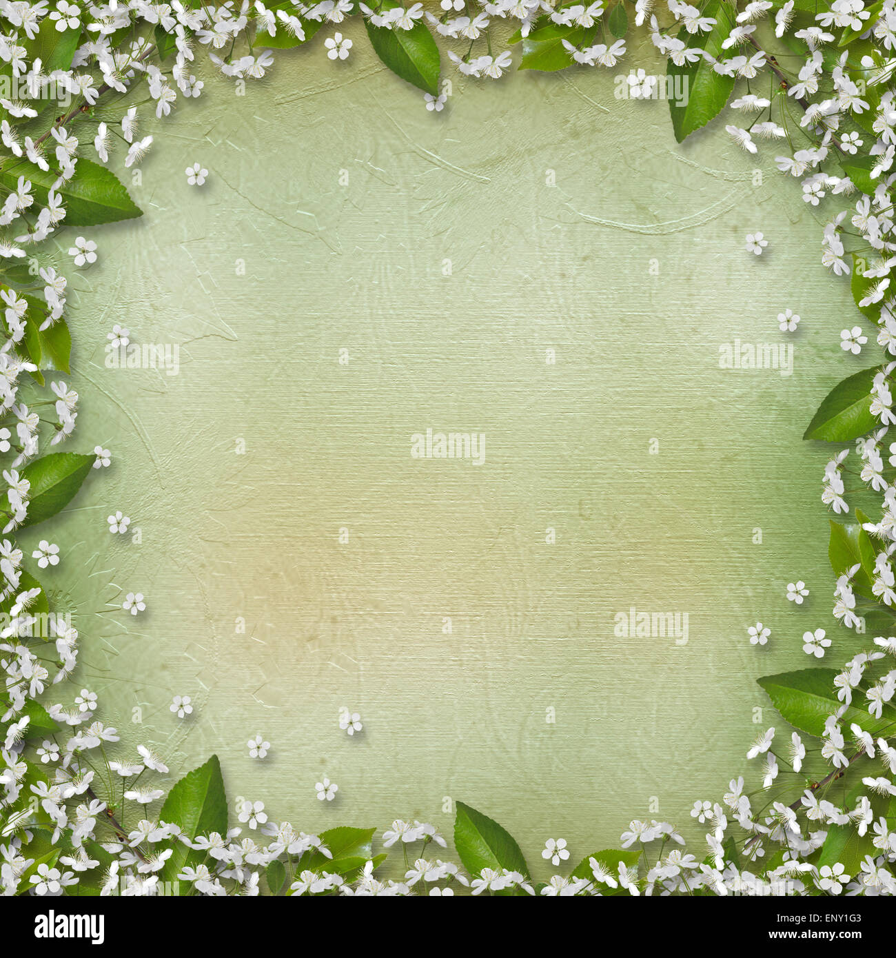 Writing abstract background with frame floral beautiful bouque Stock Photo  - Alamy