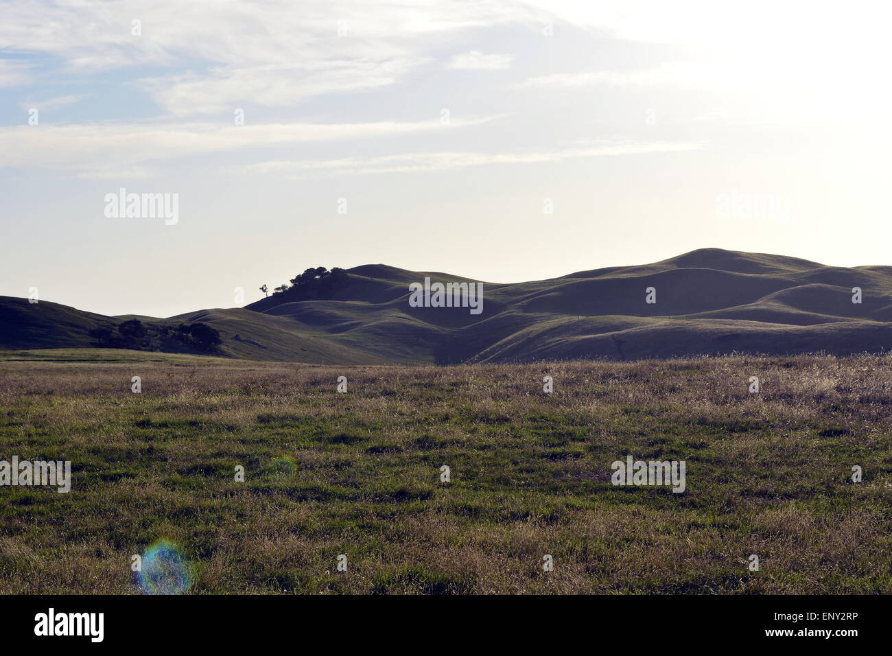 Australian Rolling Hills, Mountain, Green Grass, Farm land. Stock Photo