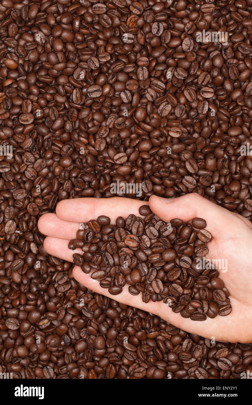 Kaffeebohnen auf einer Hand Stock Photo