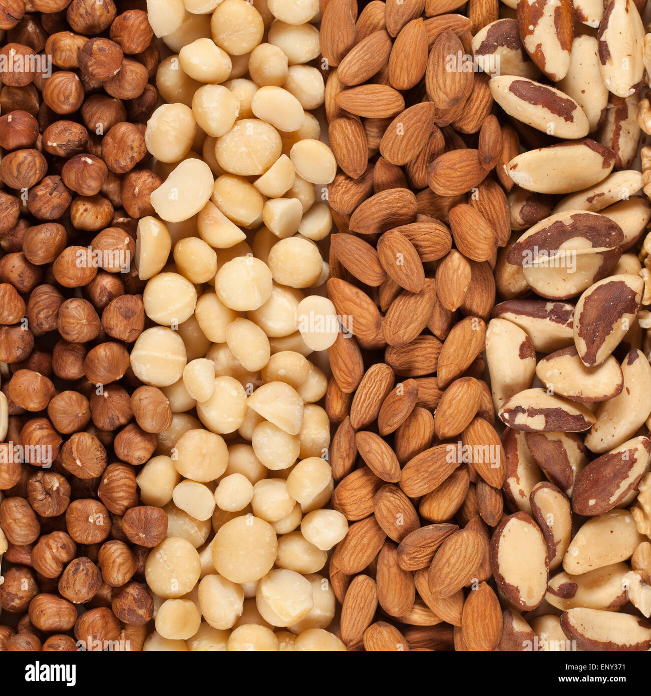 Macadamia nuss hi-res stock photography and images - Alamy