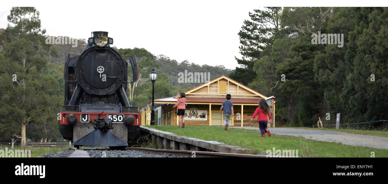 Steam Train, Kids Playing, Forest, Train In Forest, Train Tracks Stock Photo