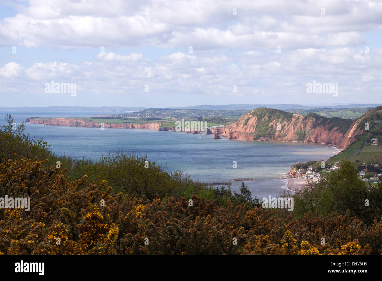 Sidmouth. The South West Coastal Path at Salcombe Hill cliff, at Sidmouth, Devon, with the town and Lyme Bay behind. Stock Photo