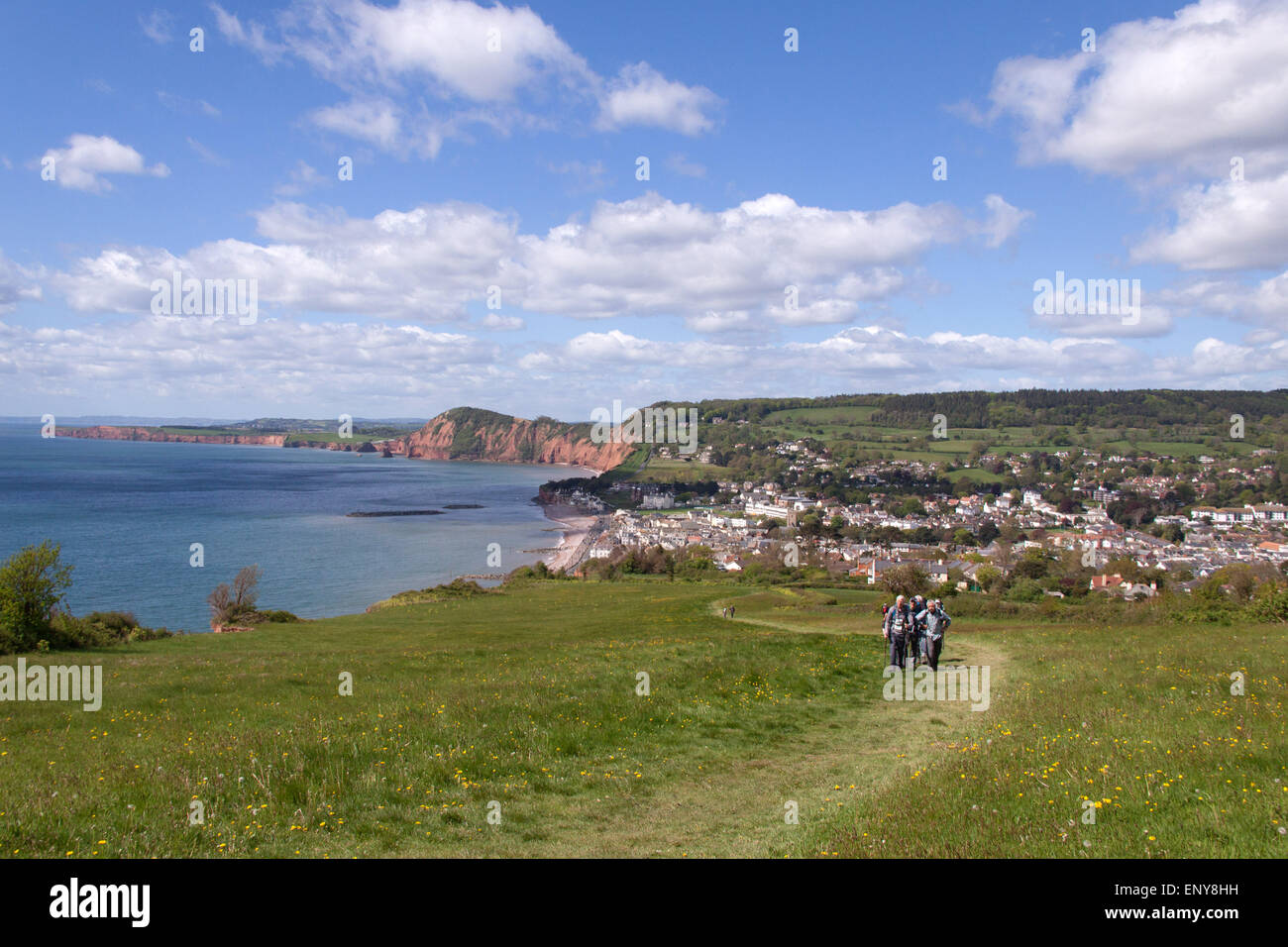 Sidmouth. Walkers on the South West Coastal Path climb Hill