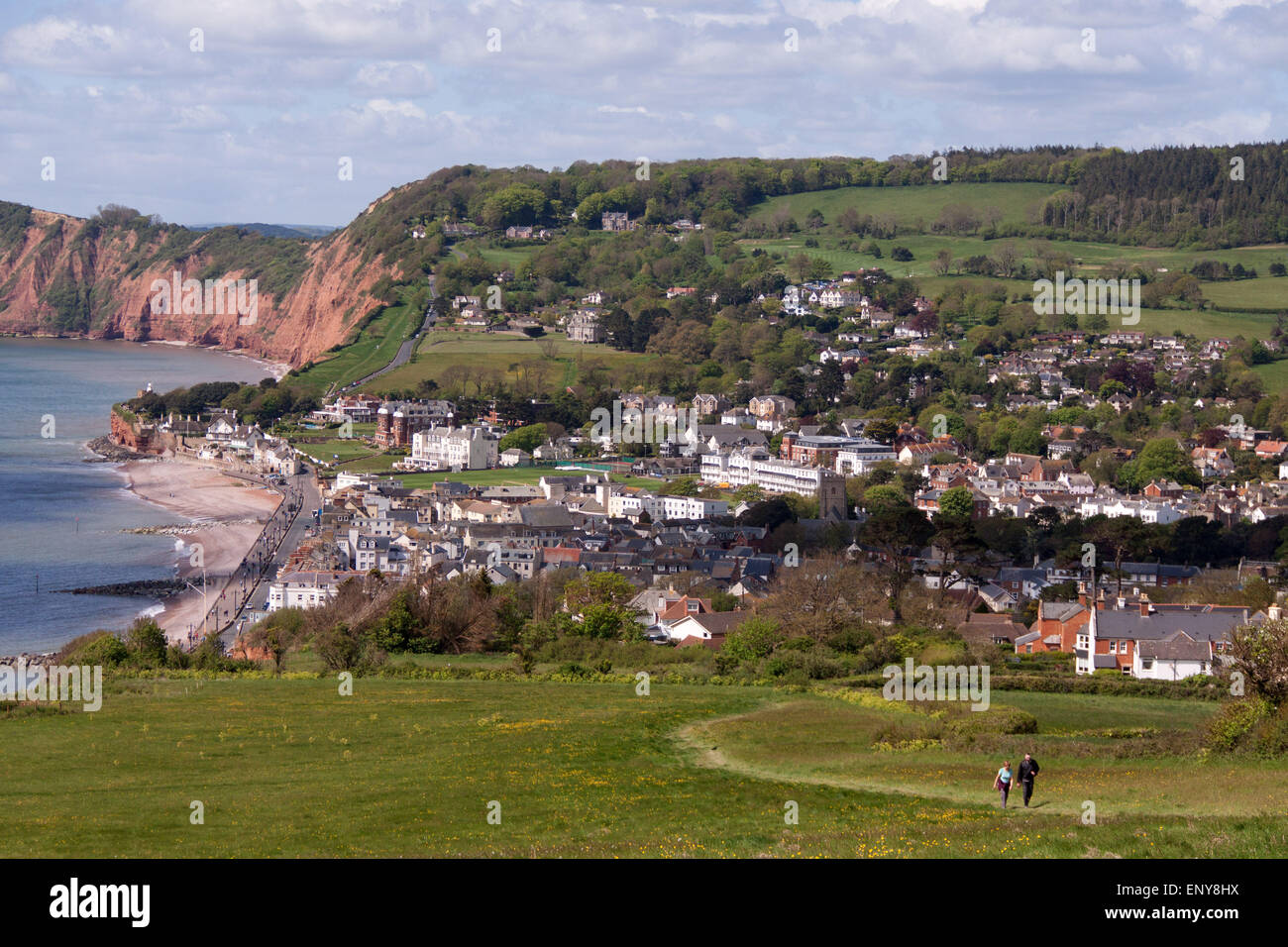 Sidmouth. Walkers on the South West Coastal Path climb Salcombe Hill cliff, at Sidmouth, Devon, with the town and Lyme Bay behind. Stock Photo